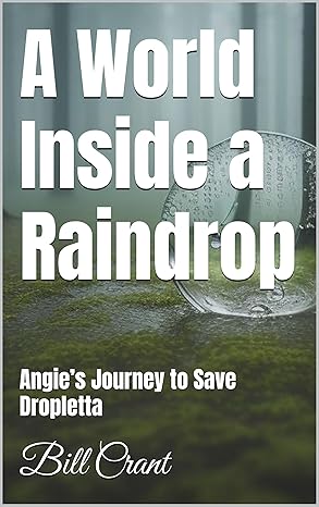 A World Inside a Raindrop